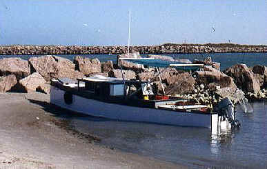 jetties.jpg (47497 bytes)